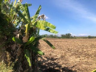 For sale land in Nong Phai, Phetchabun