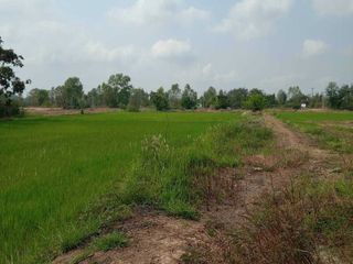 For sale land in Mueang Phitsanulok, Phitsanulok