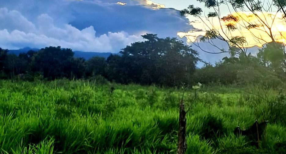 À vendre terrain à Pak Chong, Nakhon Ratchasima