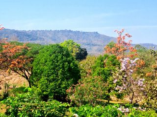 For sale land in Pak Chong, Nakhon Ratchasima