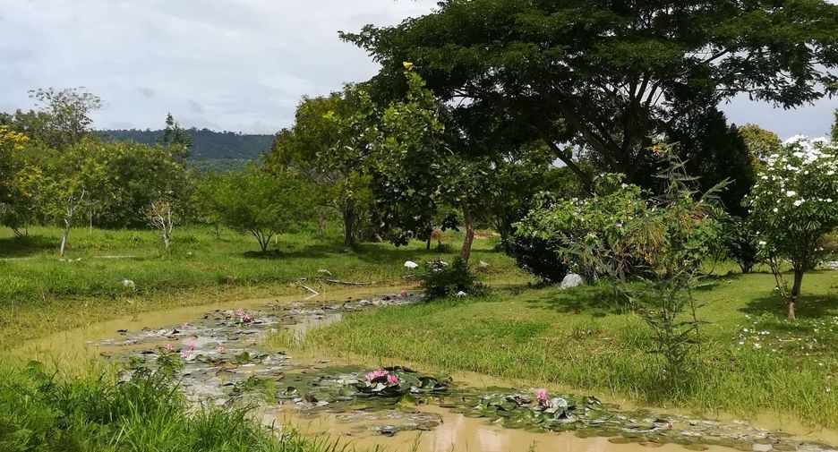 À vendre terrain à Pak Chong, Nakhon Ratchasima