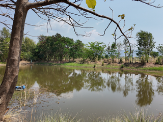 For sale 1 Beds house in Wang Thong, Phitsanulok