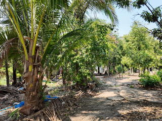 For sale 1 Beds house in Wang Thong, Phitsanulok