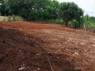 For sale land in Pak Chong, Nakhon Ratchasima