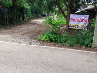 For sale land in Pak Chong, Nakhon Ratchasima