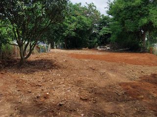 For sale land in Pak Chong, Nakhon Ratchasima