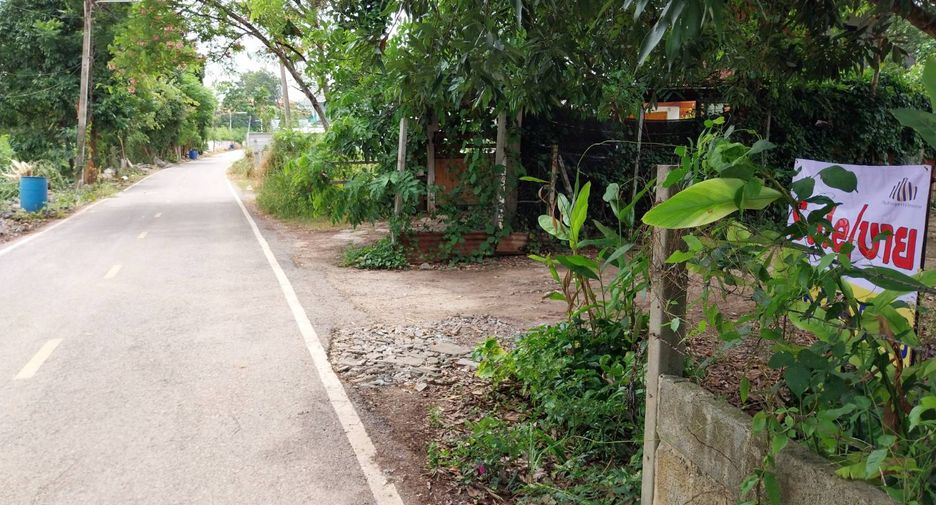 Grundstück zum Kauf in Pak Chong, Nakhon Ratchasima