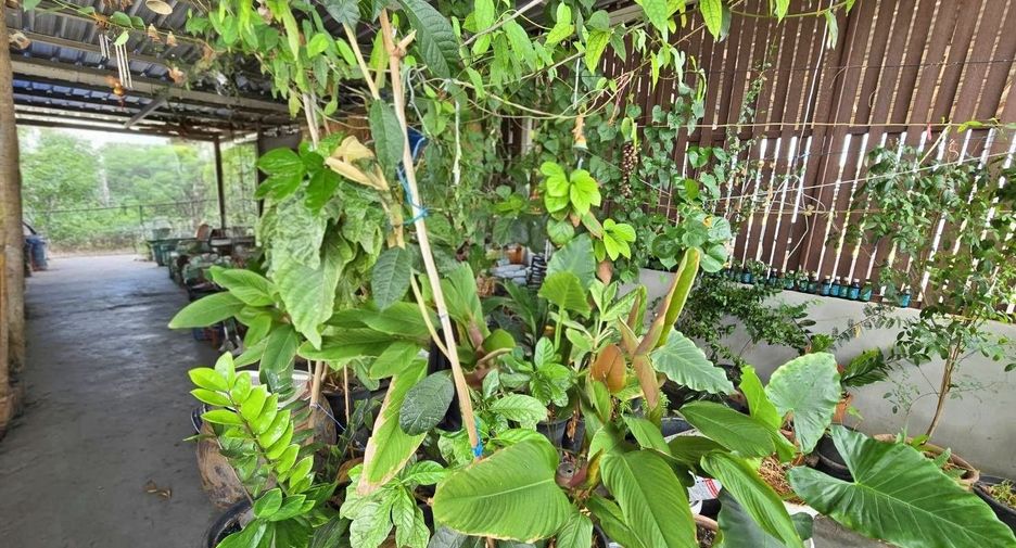 For sale 3 bedrooms retail Space in Chatuchak, Bangkok