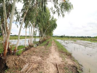 For sale land in Mueang Udon Thani, Udon Thani