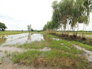 For sale land in Mueang Udon Thani, Udon Thani