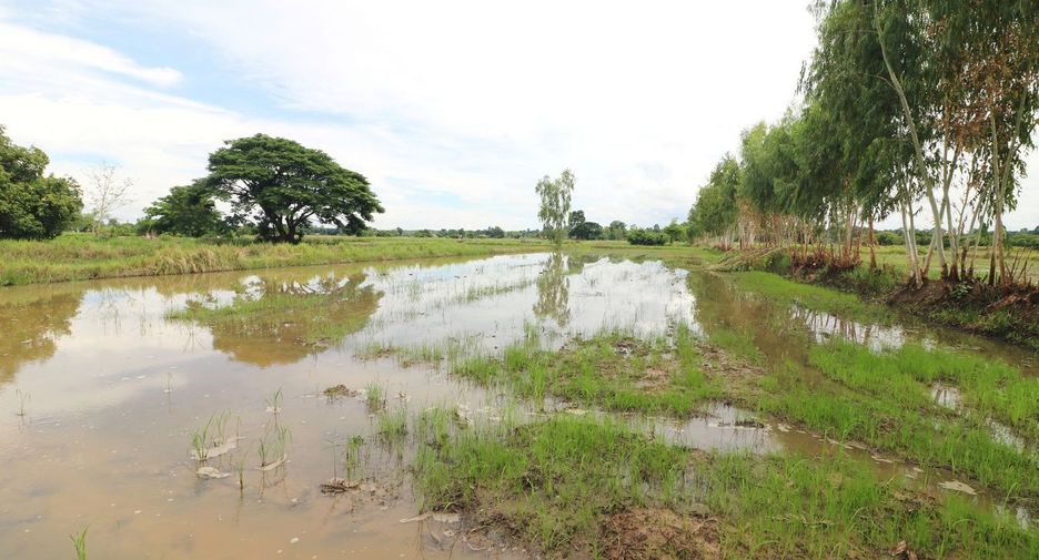 Продажа Участок в Mueang Udon Thani, Удонтани