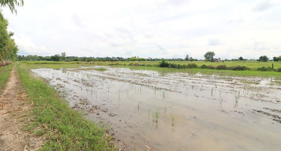 Продажа Участок в Mueang Udon Thani, Удонтани