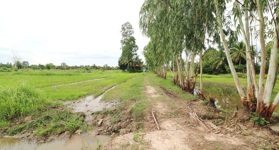 Продажа Участок в Mueang Udon Thani, Удонтани