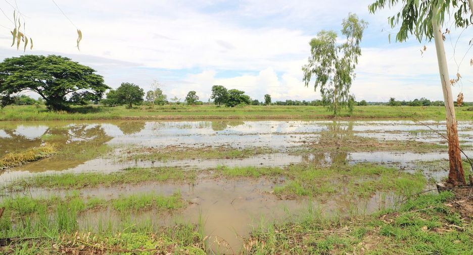 Продажа Участок в Mueang Udon Thani, Удонтани