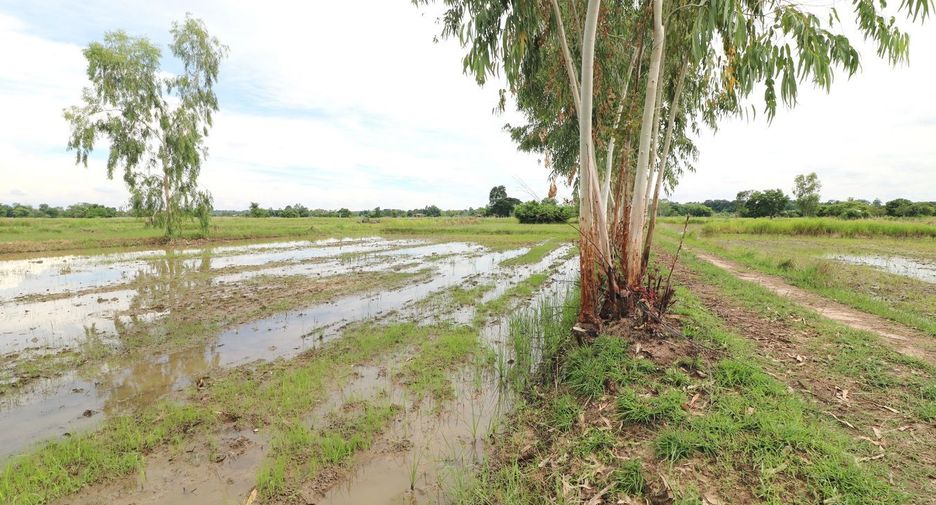 Продажа Участок в Mueang Udon Thani, Удонтани