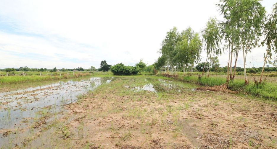 Продажа Участок в Mueang Udon Thani, Удонтани