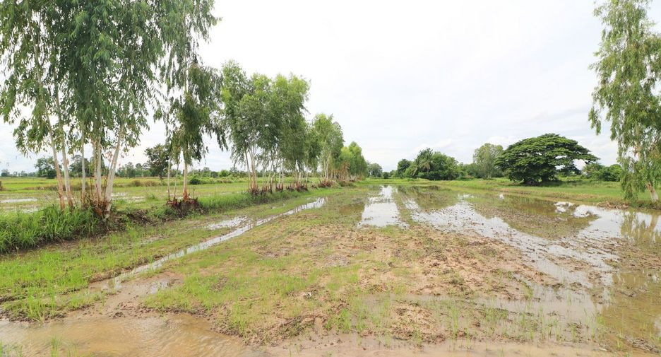 Продажа Участок в Mueang Udon Thani, Удонтани