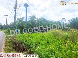 For sale land in Lang Suan, Chumphon