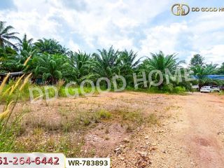 For sale land in Lang Suan, Chumphon