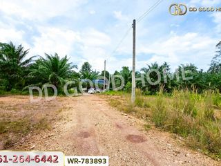 For sale land in Lang Suan, Chumphon