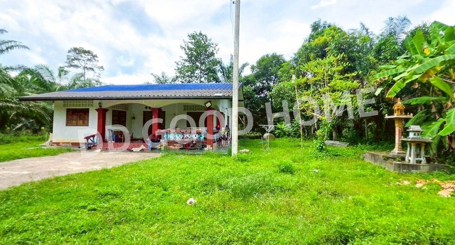For sale land in Lang Suan, Chumphon