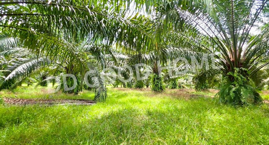 For sale land in Lang Suan, Chumphon