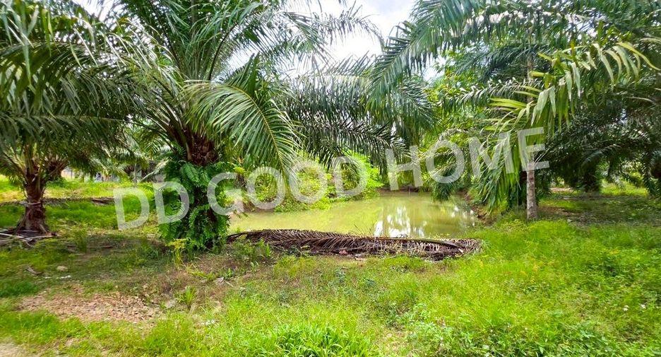 For sale land in Lang Suan, Chumphon
