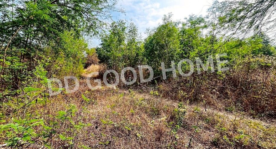 For sale land in Non Sa-at, Udon Thani