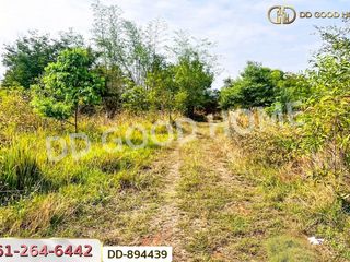 Grundstück zum Kauf in Non Sa-at, Udon Thani