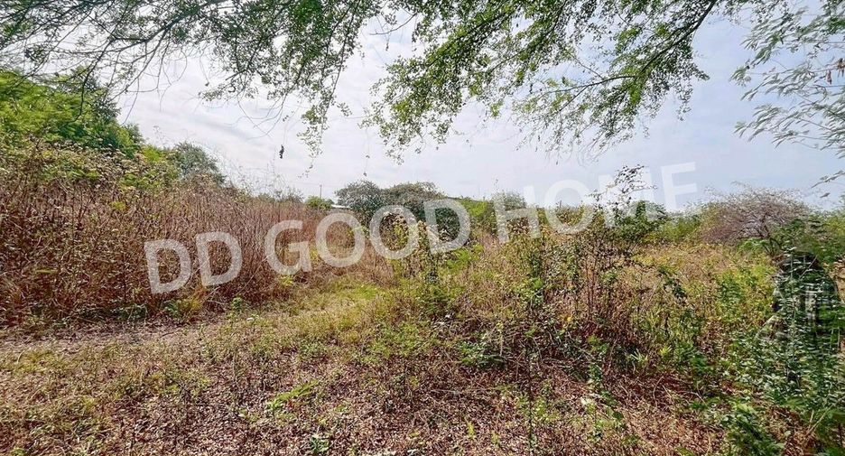 Terreno en venta en Non Sa-at, Udon Thani