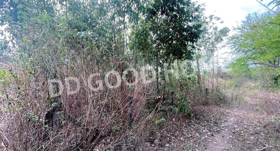 Terreno en venta en Non Sa-at, Udon Thani