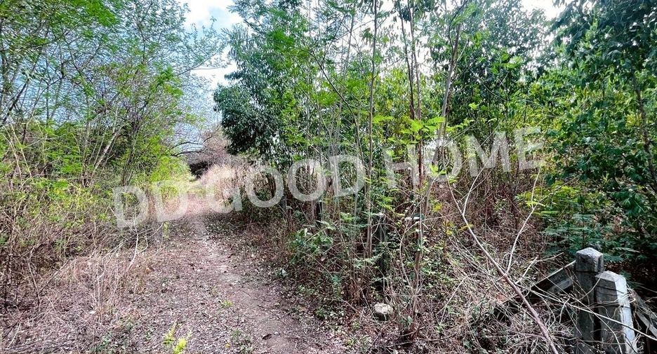 Terreno en venta en Non Sa-at, Udon Thani