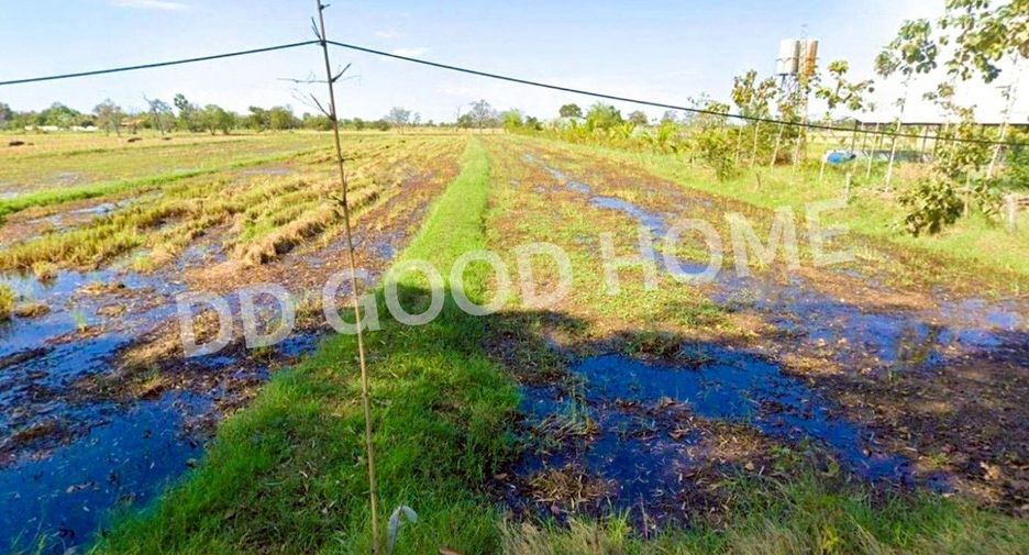 For sale land in Chumphon Buri, Surin