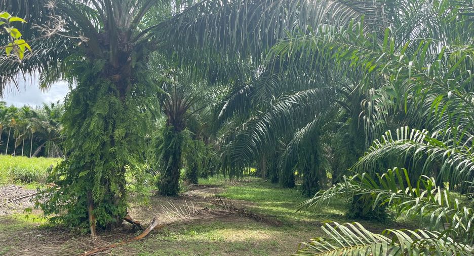 Terreno en venta en Thai Mueang, Phang Nga