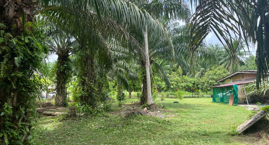 Terreno en venta en Thai Mueang, Phang Nga