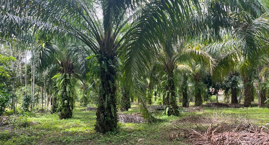 Terreno en venta en Thai Mueang, Phang Nga