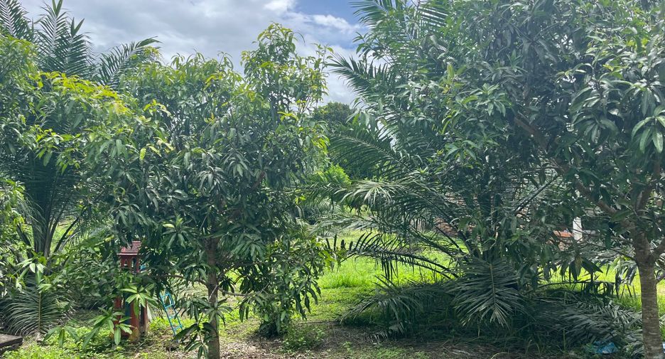 Terreno en venta en Thai Mueang, Phang Nga