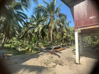 For sale land in Amphawa, Samut Songkhram