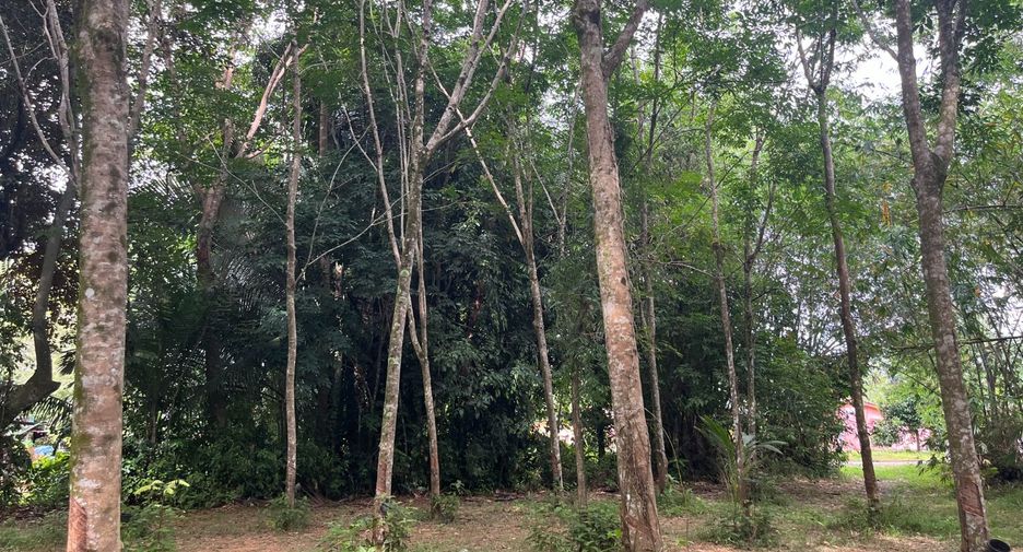 For sale land in Thai Mueang, Phang Nga