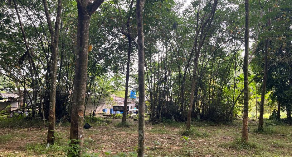 For sale land in Thai Mueang, Phang Nga