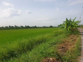 For sale land in Phutthamonthon, Nakhon Pathom