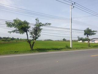 For sale land in Phutthamonthon, Nakhon Pathom
