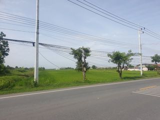 For sale land in Phutthamonthon, Nakhon Pathom