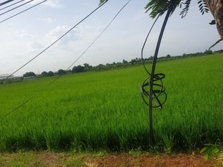For sale land in Phutthamonthon, Nakhon Pathom