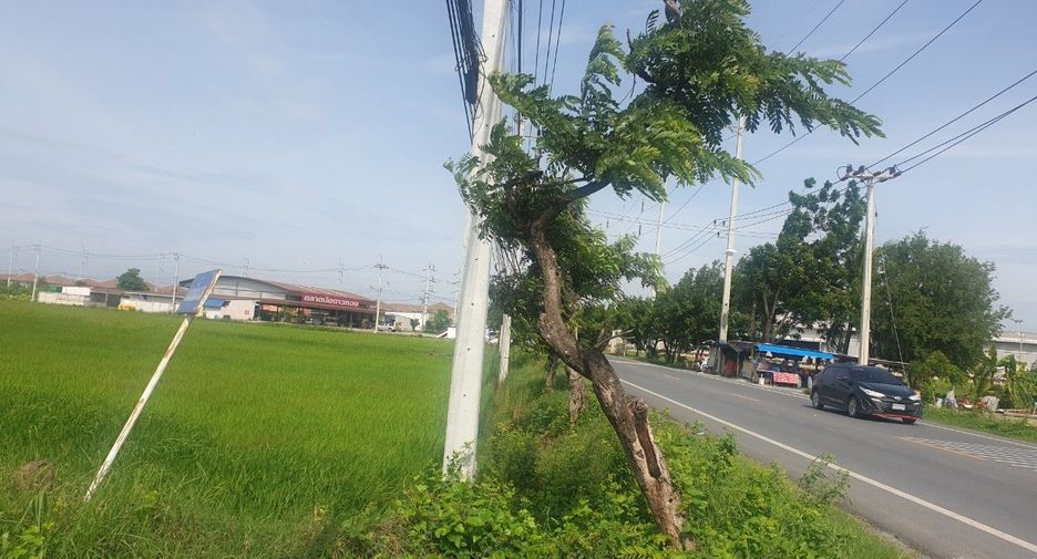 For sale land in Phutthamonthon, Nakhon Pathom