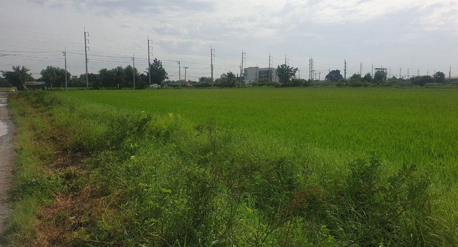 For sale land in Phutthamonthon, Nakhon Pathom