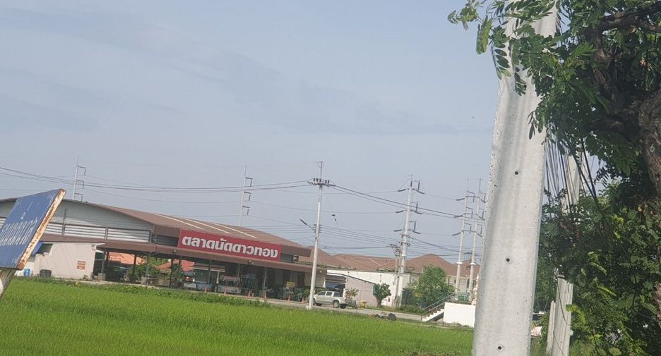 For sale land in Phutthamonthon, Nakhon Pathom