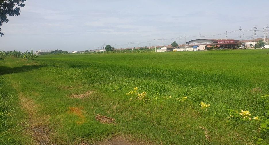 For sale land in Phutthamonthon, Nakhon Pathom