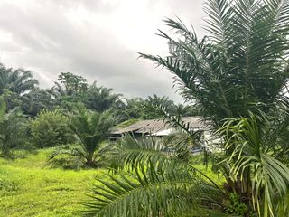 For sale land in Thai Mueang, Phang Nga