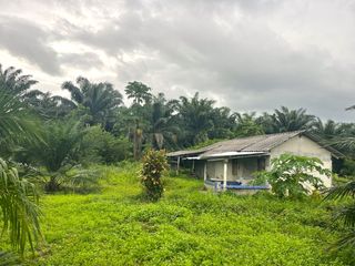 For sale land in Thai Mueang, Phang Nga